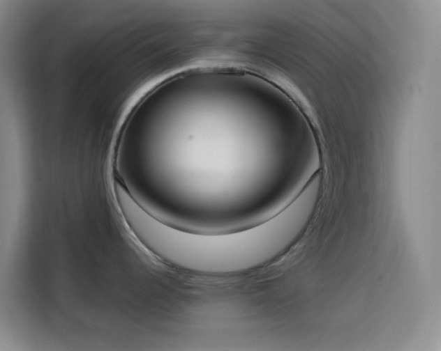 X0000113741344200909301004