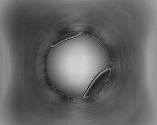 X0000113741345200909301003