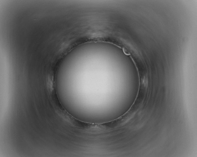 X0000113741348200909301003