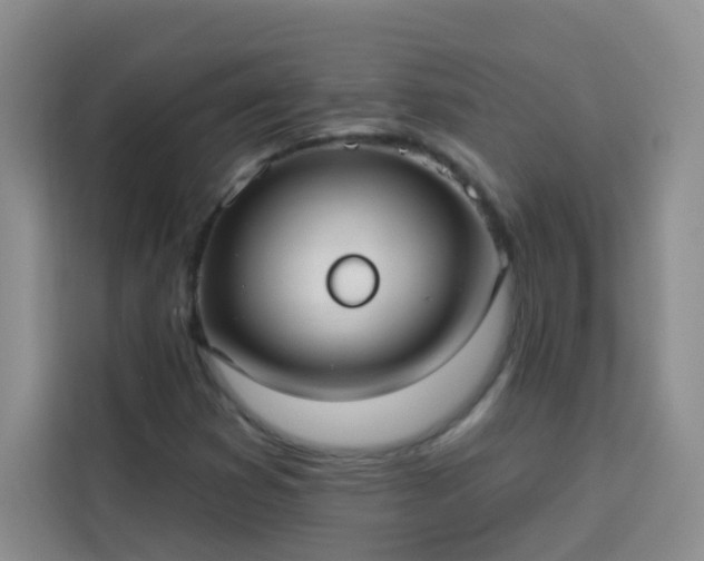 X0000113741353200909301003