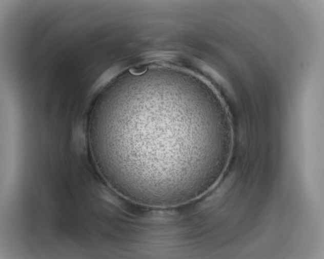 X0000113741354200909301003