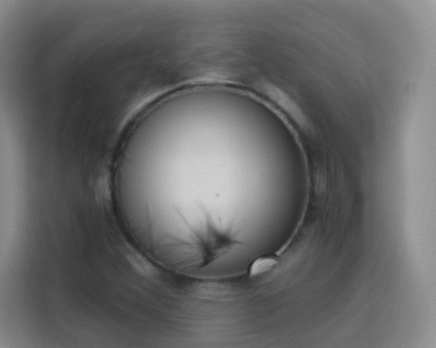 X0000113741356200909301003