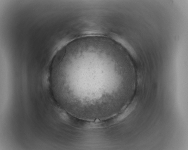 X0000113741357200909301003