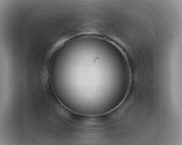 X0000113741359200909301003