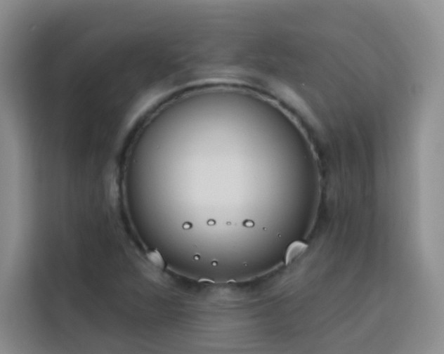 X0000113741360200909301003