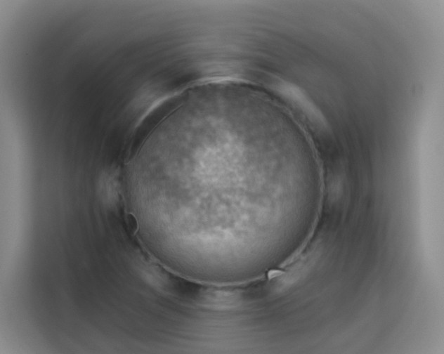 X0000113741361200909301003