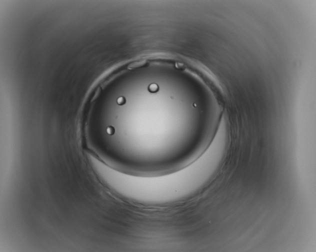 X0000113741364200909301003