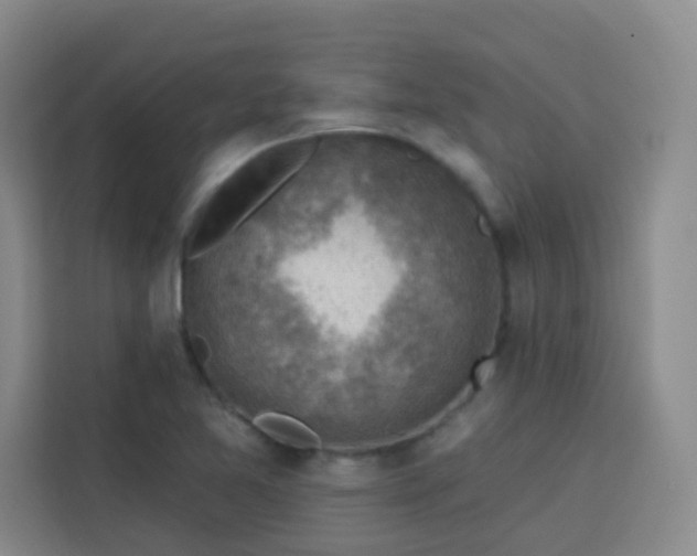 X0000113741365200909301003