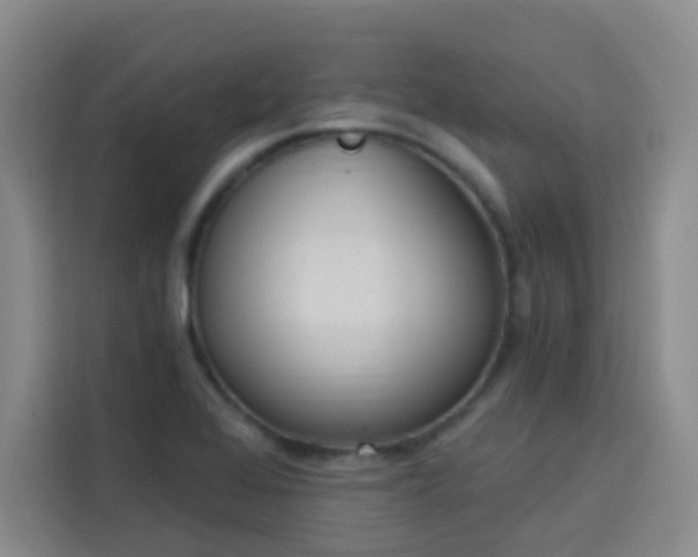 X0000113741368200909301003