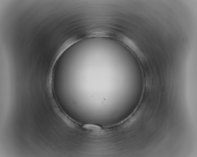 X0000113741378200909301002