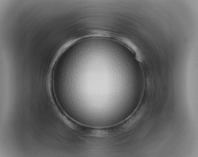 X0000113741379200909301002