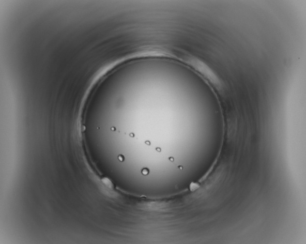 X0000113741380200909301002