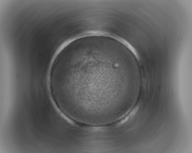 X0000113741381200909301002