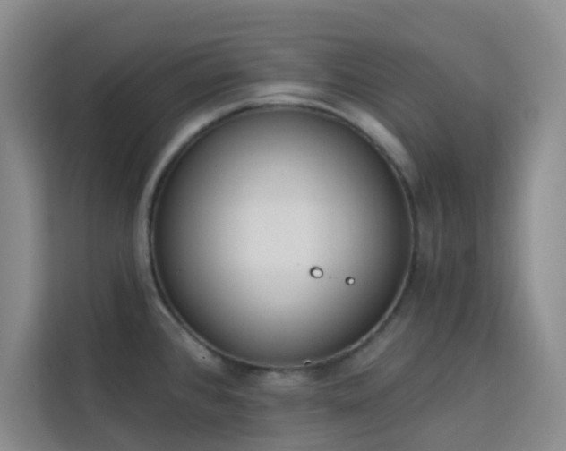 X0000113741384200909301002