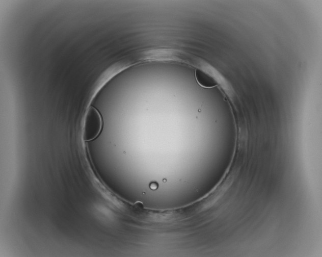 X0000113741386200909301002