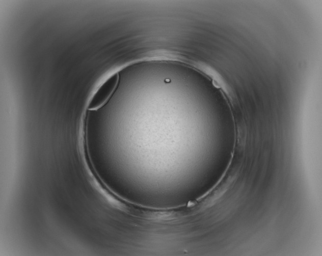 X0000113741387200909301002