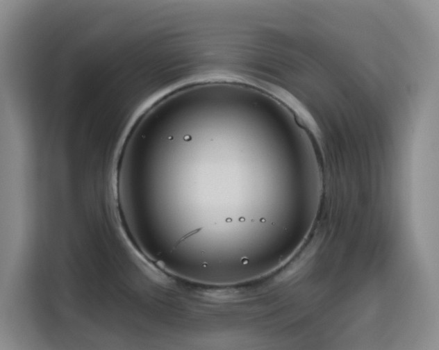 X0000113741388200909301002