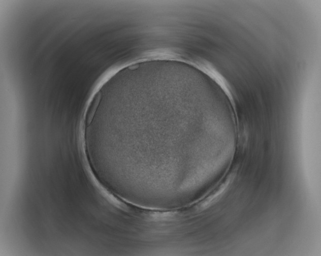 X0000113741389200909301002