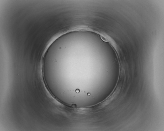 X0000113741390200909301002