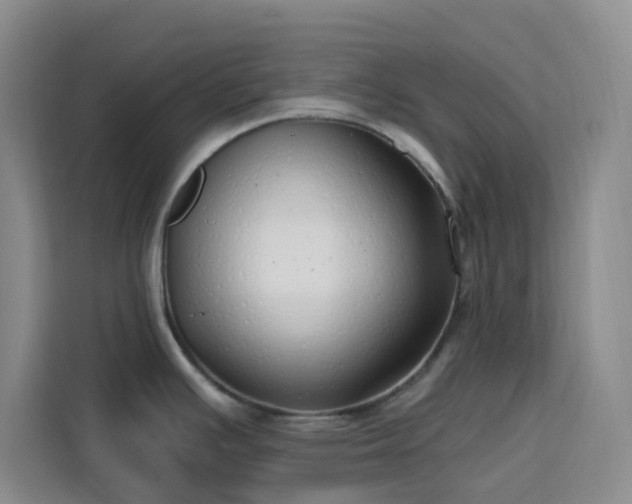 X0000113741391200909301002