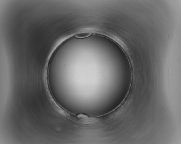 X0000113741392200909301002