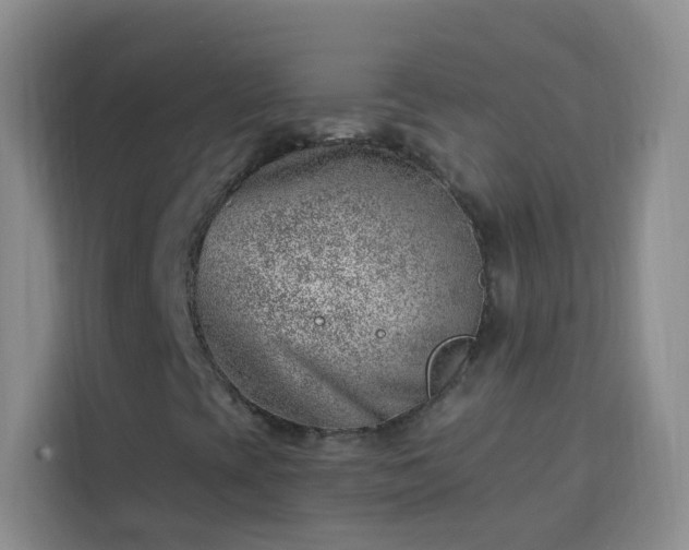 X0000113741393200909301002