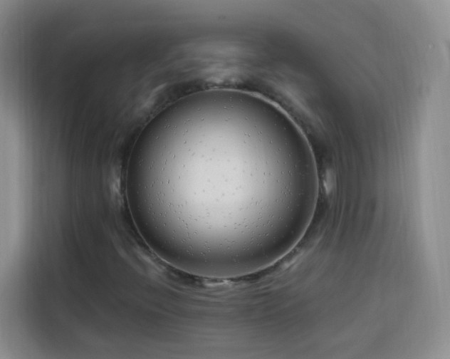 X0000113741396200909301002