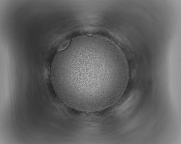 X0000113741397200909301002