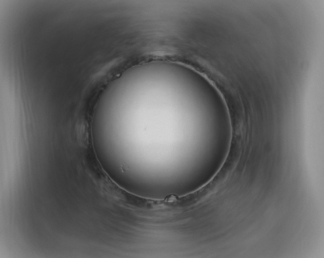 X0000113741398200909301002