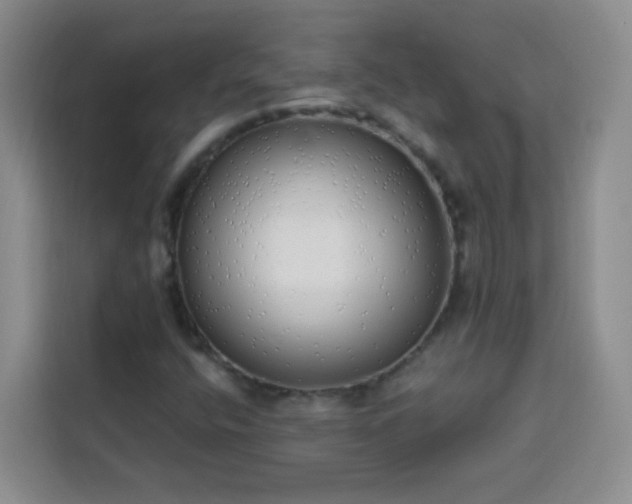 X0000113741400200909301002