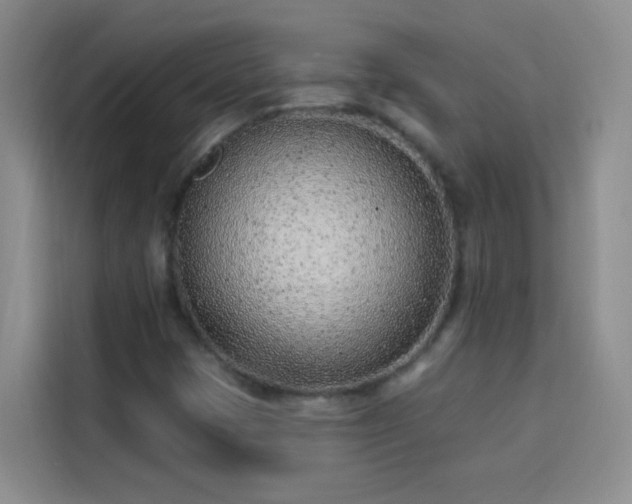 X0000113741401200909301002