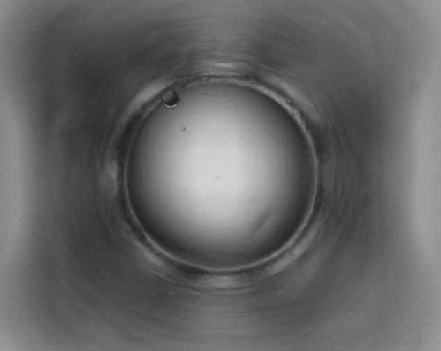 X0000113741402200909301002