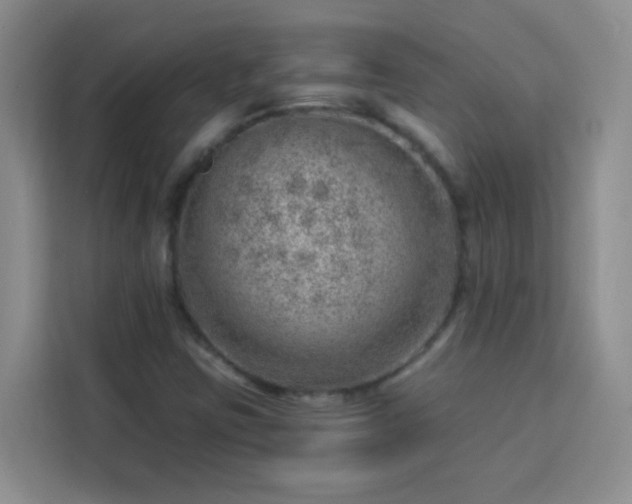 X0000113741403200909301002