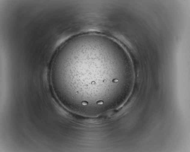 X0000113741404200909301002