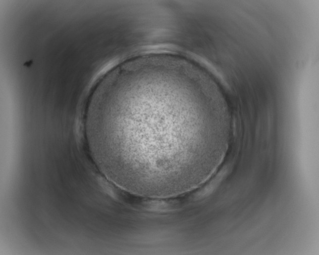 X0000113741405200909301002