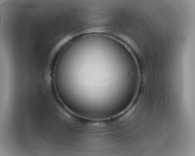 X0000113741406200909301002