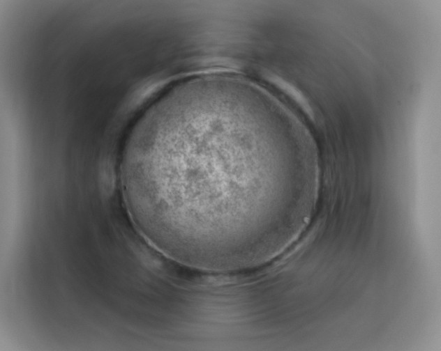 X0000113741407200909301002