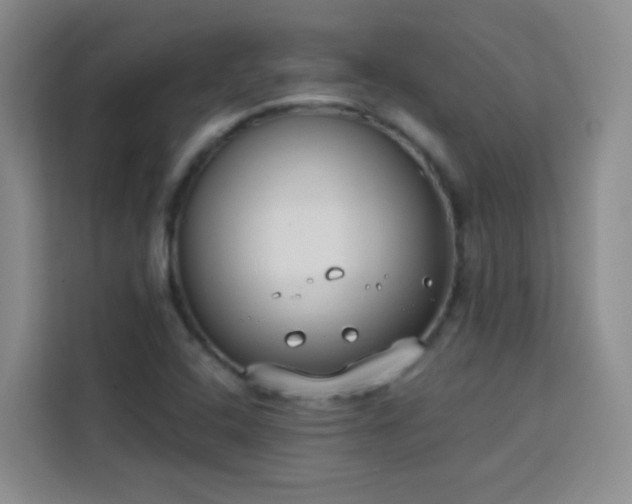 X0000113741408200909301002