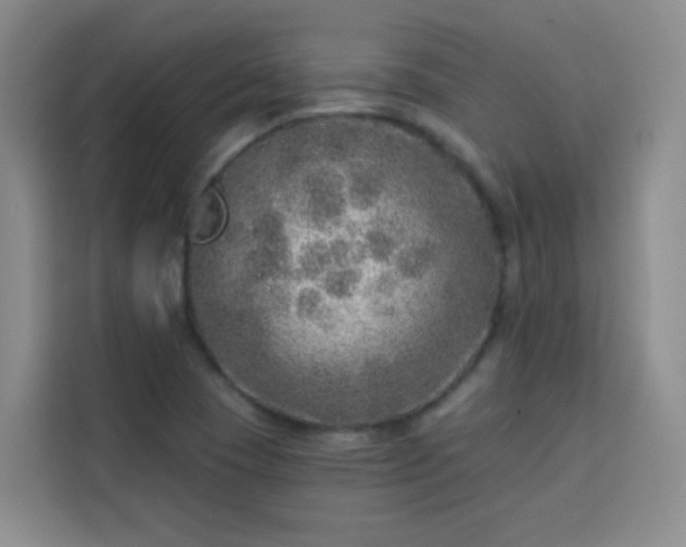 X0000113741409200909301002