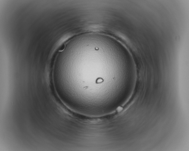 X0000113741410200909301002