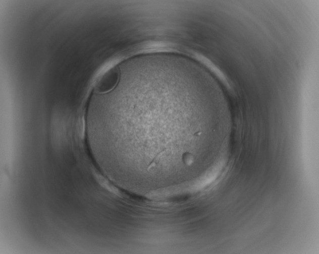 X0000113741413200909301002