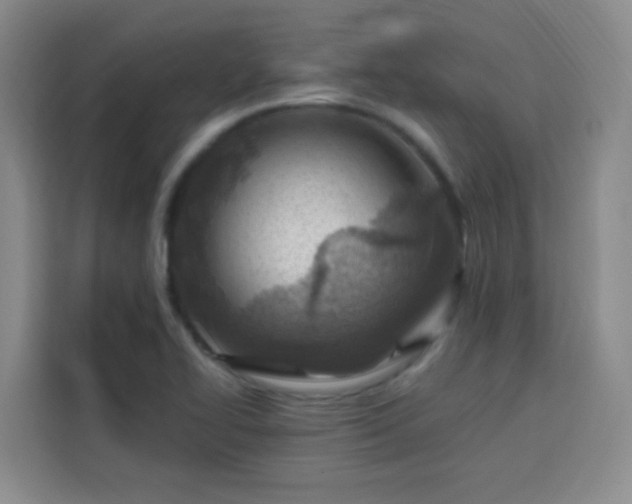 X0000113741414200909301002