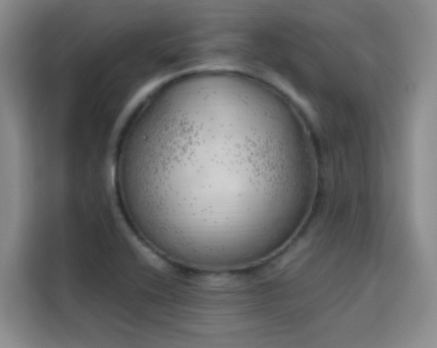 X0000113741416200909301002