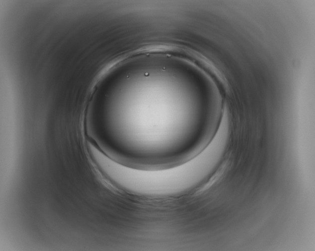 X0000113741417200909301002