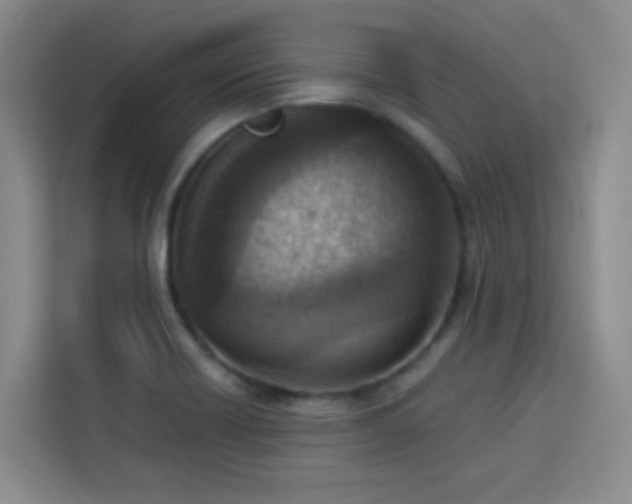 X0000113741418200909301002