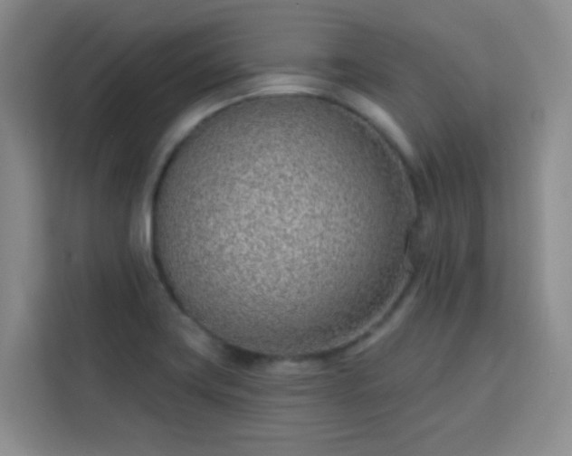 X0000113741419200909301002