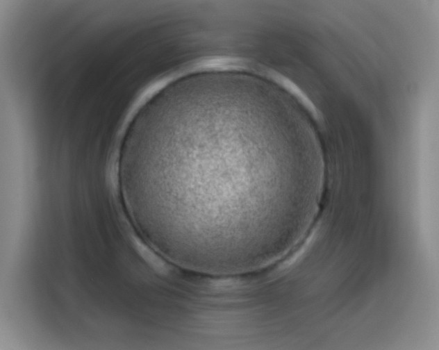 X0000113741421200909301002