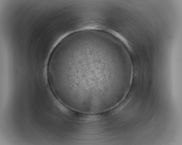 X0000113741423200909301002