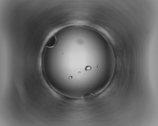 X0000113741424200909301002