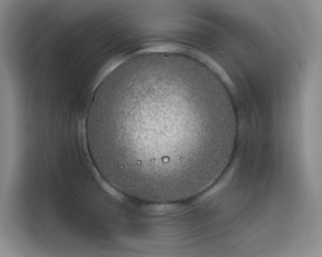 X0000113741425200909301002